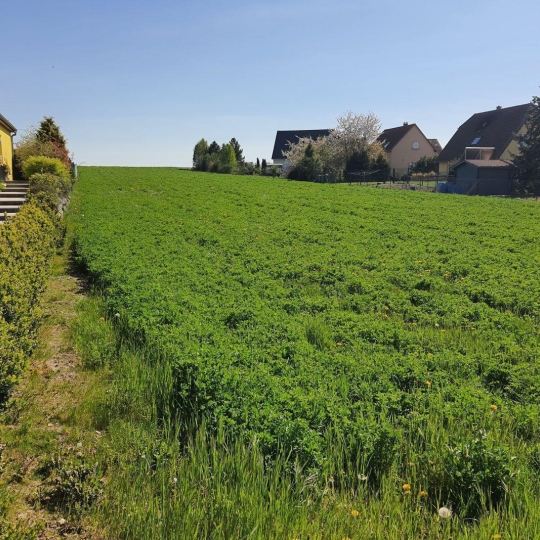  Alsace & Azur Immobilier : Terrain | SCHWENHEIM (67440) | 0 m2 | 189 000 € 