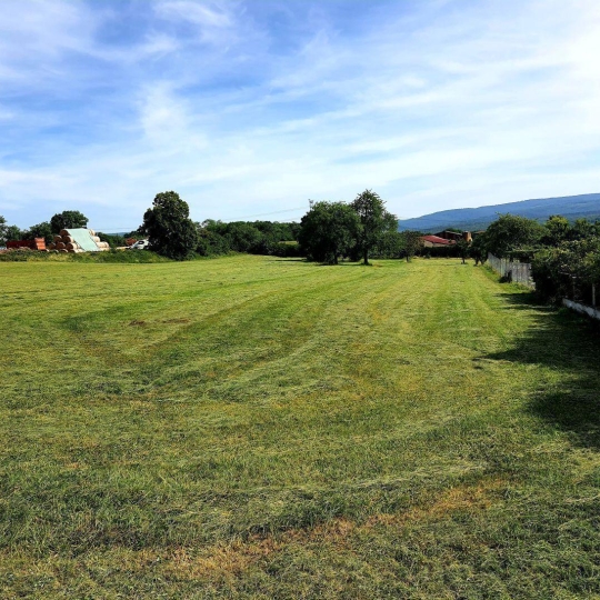  Alsace & Azur Immobilier : Terrain | SALENTHAL (67440) | 0 m2 | 189 000 € 