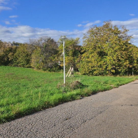  Alsace & Azur Immobilier : Terrain | SAVERNE (67700) | 0 m2 | 129 000 € 