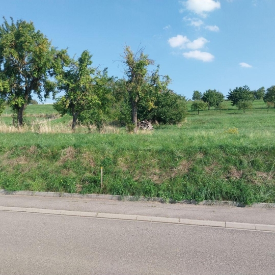  Alsace & Azur Immobilier : Terrain | RANGEN (67310) | 0 m2 | 91 065 € 