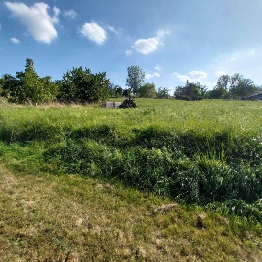  Alsace & Azur Immobilier : Terrain | RANGEN (67310) | 0 m2 | 91 065 € 