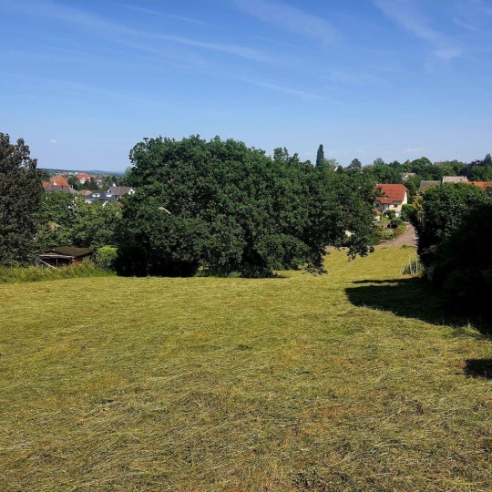 Alsace & Azur Immobilier : Terrain | SAVERNE (67700) | 0 m2 | 119 000 € 