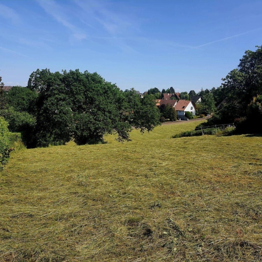  Alsace & Azur Immobilier : Terrain | SAVERNE (67700) | 0 m2 | 119 000 € 