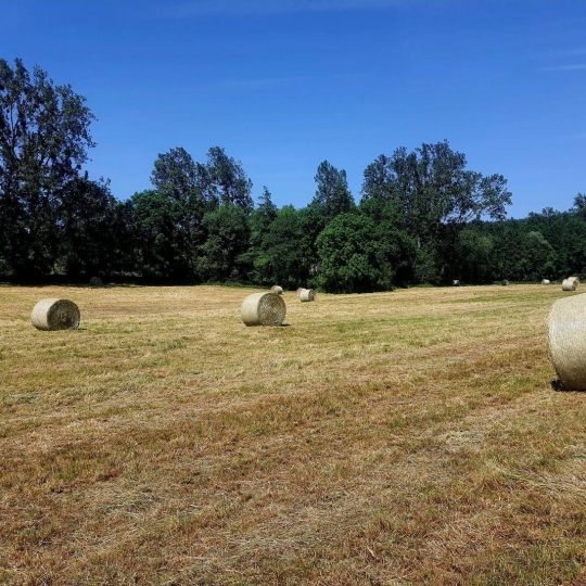  Alsace & Azur Immobilier : Terrain | HENGWILLER (67440) | 0 m2 | 68 370 € 