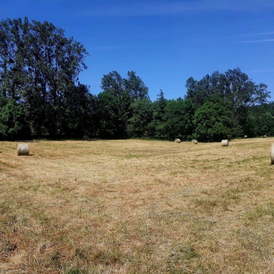  Alsace & Azur Immobilier : Terrain | HENGWILLER (67440) | 0 m2 | 68 370 € 