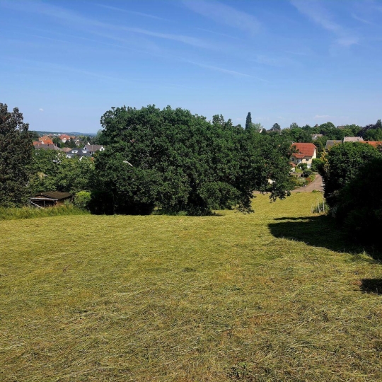  Alsace & Azur Immobilier : Terrain | SAVERNE (67700) | 0 m2 | 114 000 € 