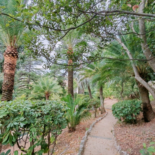  Alsace & Azur Immobilier : Appartement | CANNES (06400) | 106 m2 | 625 000 € 