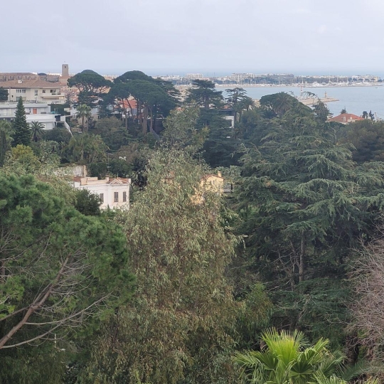  Alsace & Azur Immobilier : Appartement | CANNES (06400) | 62 m2 | 590 000 € 