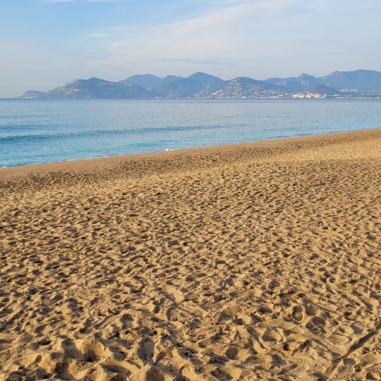 Alsace & Azur Immobilier : Appartement | CANNES (06400) | 106.00m2 | 640 000 € 