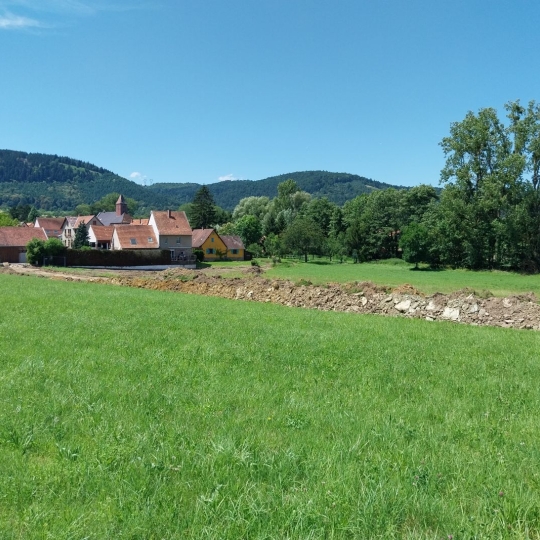  Alsace & Azur Immobilier : Terrain | HENGWILLER (67440) | 0 m2 | 59 340 € 
