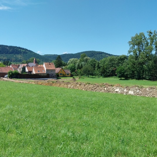  Alsace & Azur Immobilier : Terrain | HENGWILLER (67440) | 0 m2 | 38 000 € 