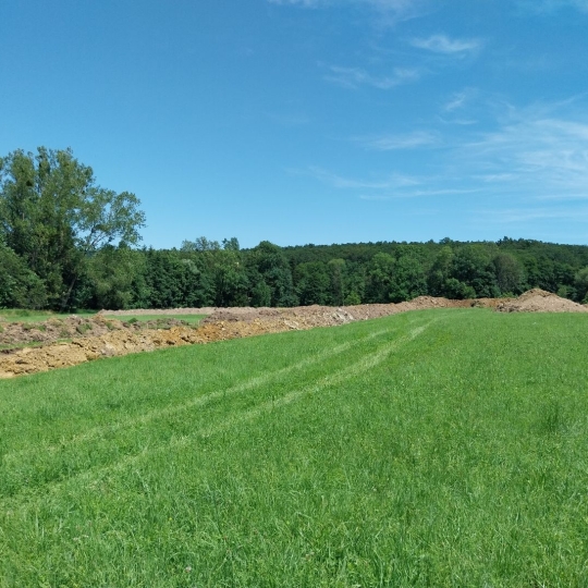 Alsace & Azur Immobilier : Terrain | HENGWILLER (67440) | 0 m2 | 38 000 € 