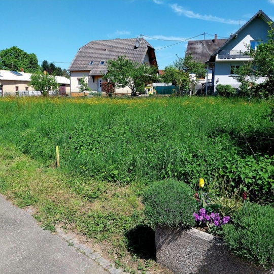  Alsace & Azur Immobilier : Terrain | BERNOLSHEIM (67170) | 0 m2 | 224 680 € 