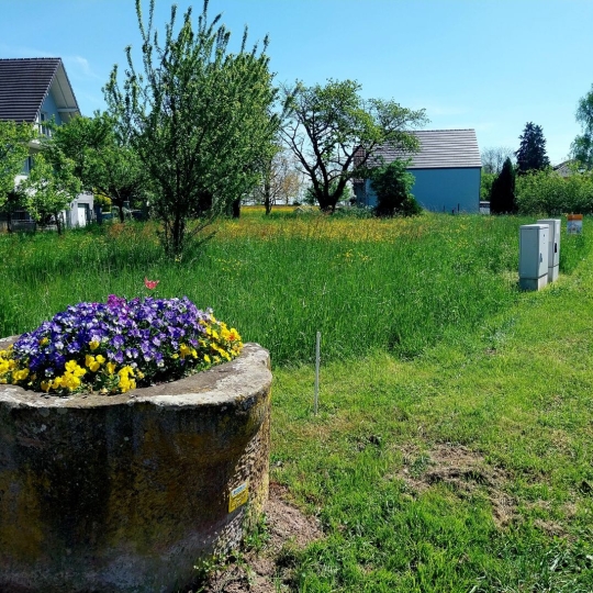  Alsace & Azur Immobilier : Terrain | BERNOLSHEIM (67170) | 0 m2 | 224 680 € 
