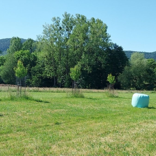  Alsace & Azur Immobilier : Terrain | HENGWILLER (67440) | 0 m2 | 49 800 € 