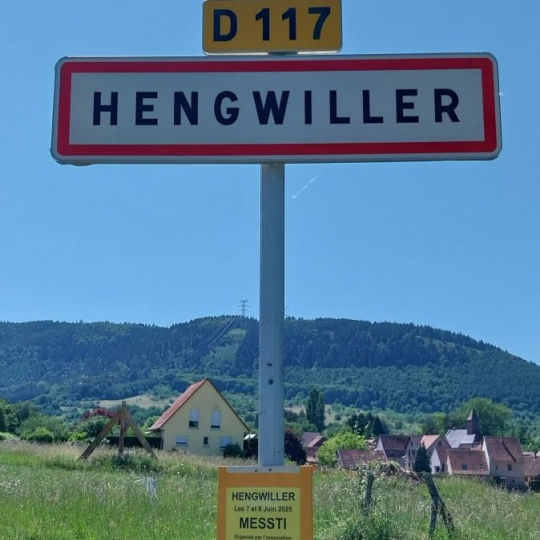  Alsace & Azur Immobilier : Terrain | HENGWILLER (67440) | 0 m2 | 49 800 € 