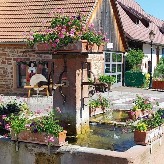  Alsace & Azur Immobilier : Terrain | HENGWILLER (67440) | 0 m2 | 49 800 € 