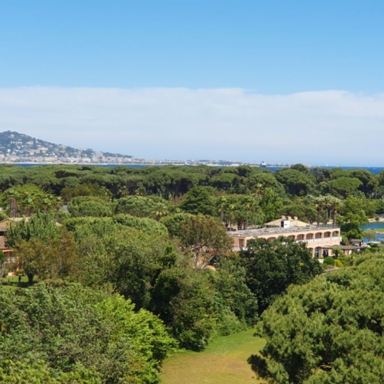  Alsace & Azur Immobilier : Apartment | MANDELIEU-LA-NAPOULE (06210) | 262 m2 | 0 € 