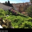  Alsace & Azur Immobilier : Apartment | CANNES (06400) | 53 m2 | 424 000 € 