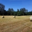  Alsace & Azur Immobilier : Terrain | HENGWILLER (67440) | 0 m2 | 68 370 € 