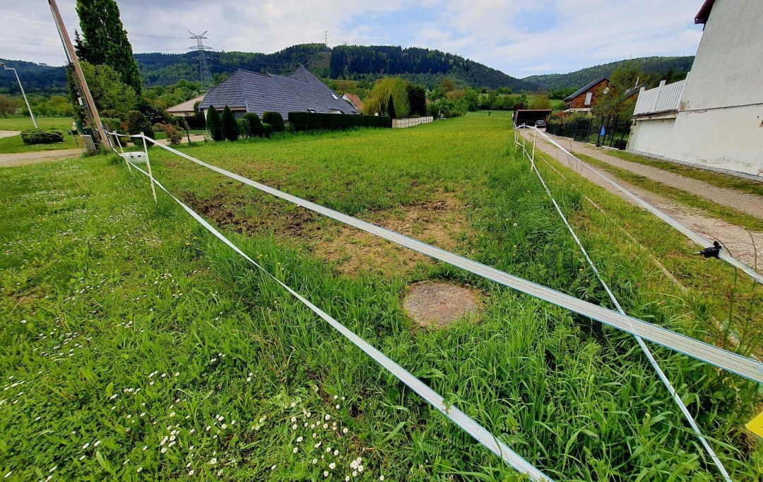 Alsace & Azur Immobilier : Terrain | MARMOUTIER (67440) | 0 m2 | 169 000 € 