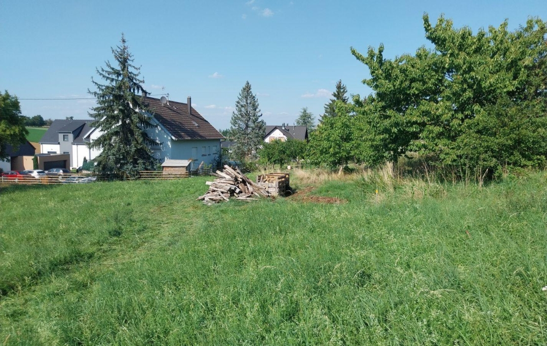 Alsace & Azur Immobilier : Terrain | RANGEN (67310) | 0 m2 | 91 065 € 