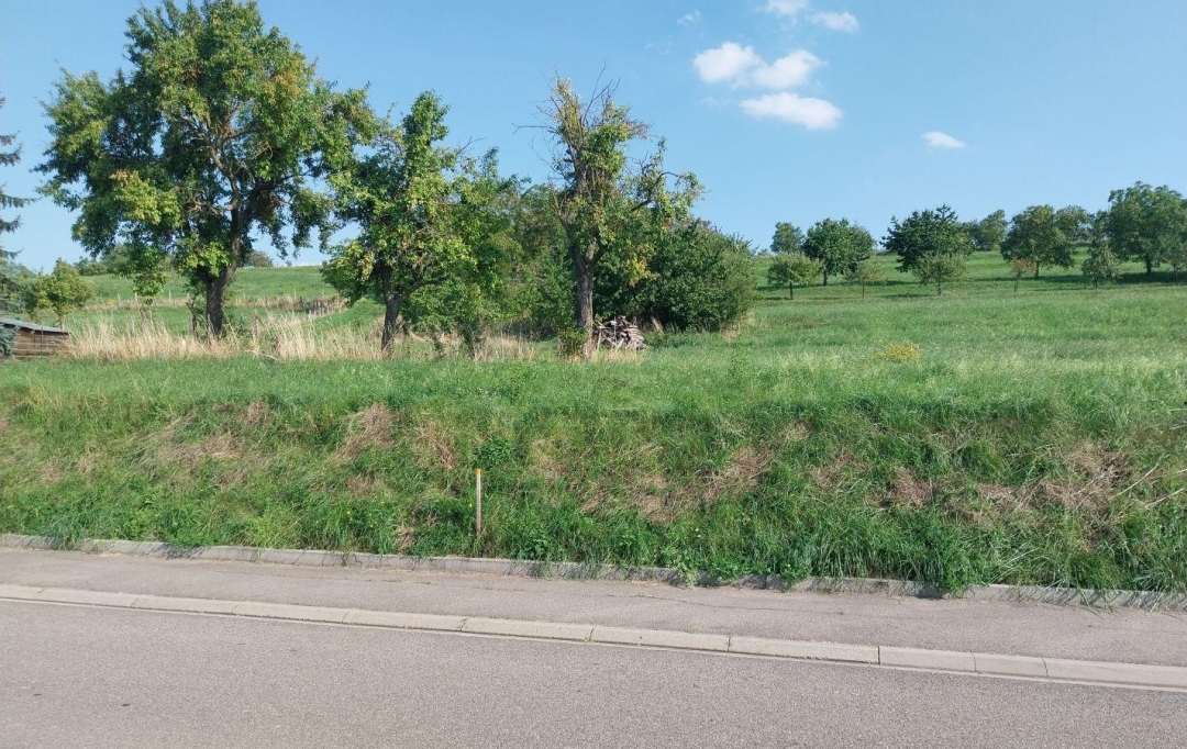 Alsace & Azur Immobilier : Terrain | RANGEN (67310) | 0 m2 | 91 065 € 