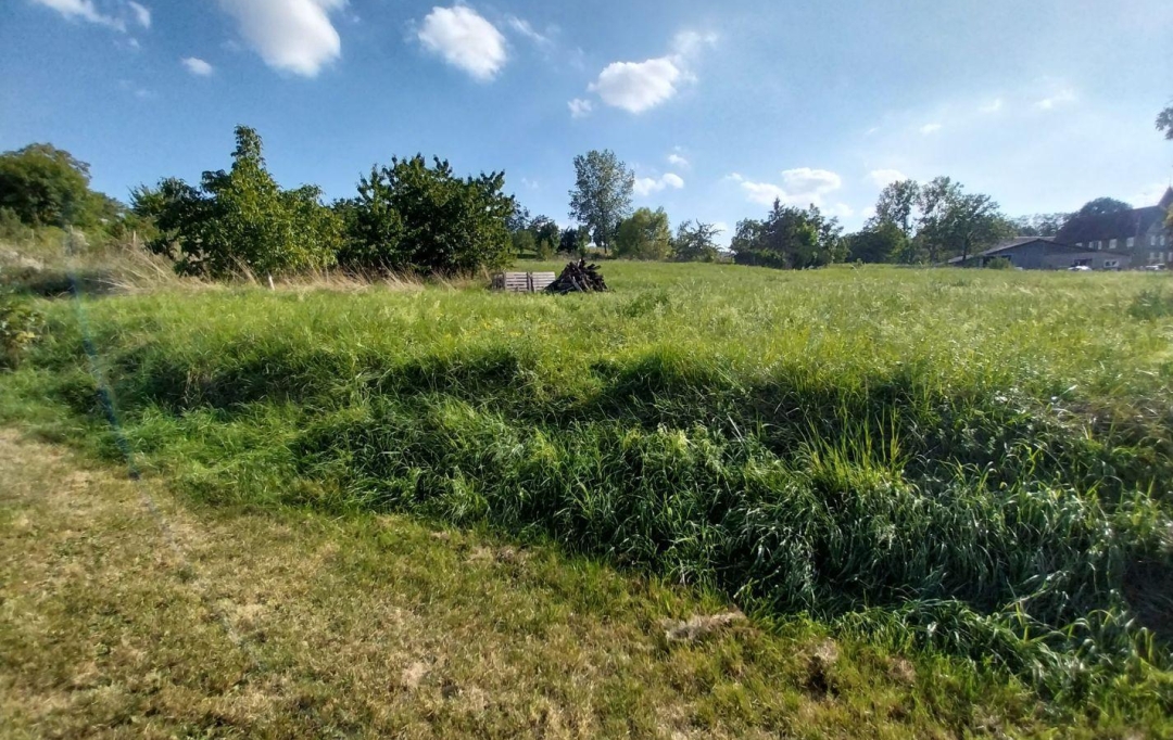 Alsace & Azur Immobilier : Terrain | RANGEN (67310) | 0 m2 | 91 065 € 