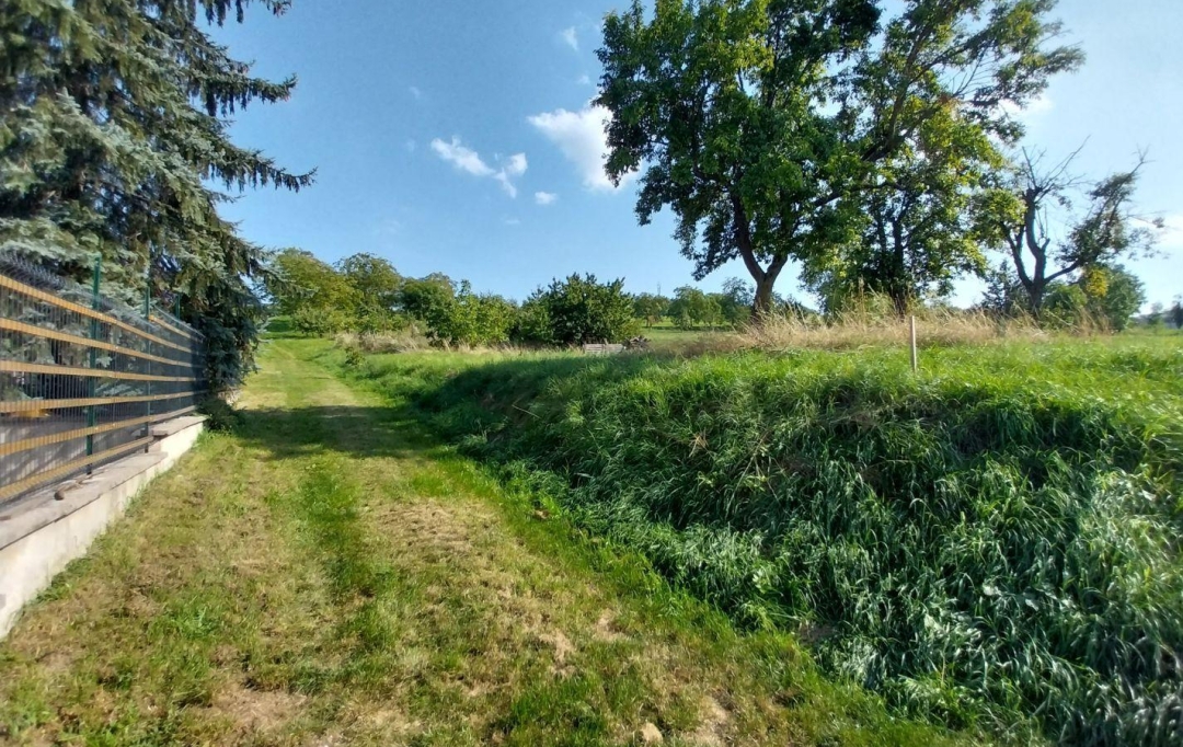Alsace & Azur Immobilier : Terrain | RANGEN (67310) | 0 m2 | 91 065 € 
