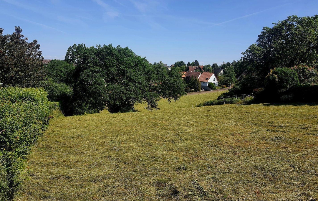Alsace & Azur Immobilier : Terrain | SAVERNE (67700) | 0 m2 | 119 000 € 