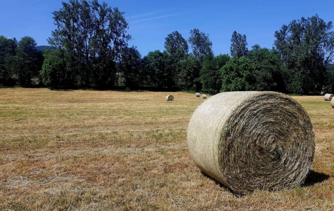 Alsace & Azur Immobilier : Terrain | HENGWILLER (67440) | 0 m2 | 68 370 € 