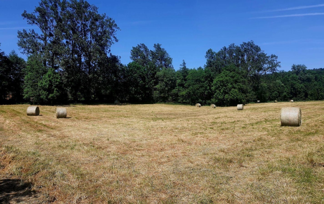 Alsace & Azur Immobilier : Terrain | HENGWILLER (67440) | 0 m2 | 68 370 € 