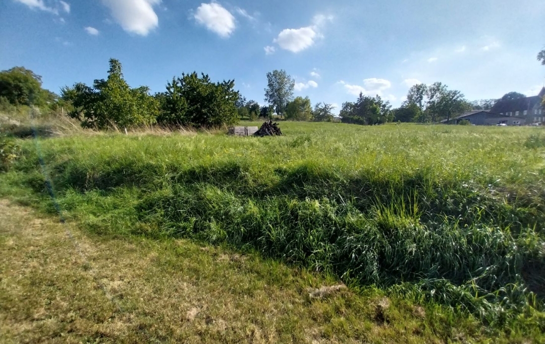 Alsace & Azur Immobilier : Terrain | RANGEN (67310) | 0 m2 | 91 260 € 
