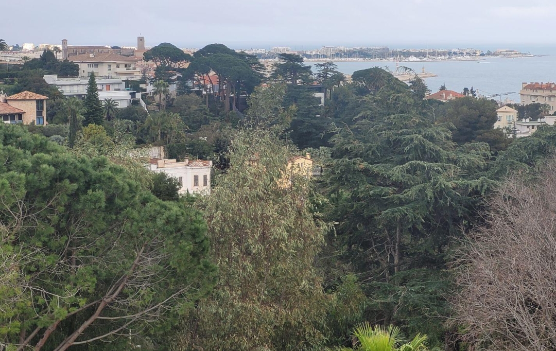 Alsace & Azur Immobilier : Appartement | CANNES (06400) | 62 m2 | 590 000 € 