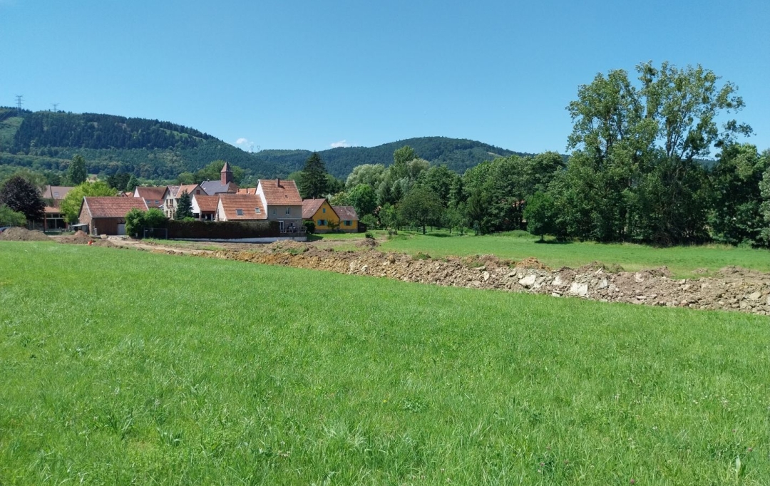 Alsace & Azur Immobilier : Terrain | HENGWILLER (67440) | 0 m2 | 59 340 € 