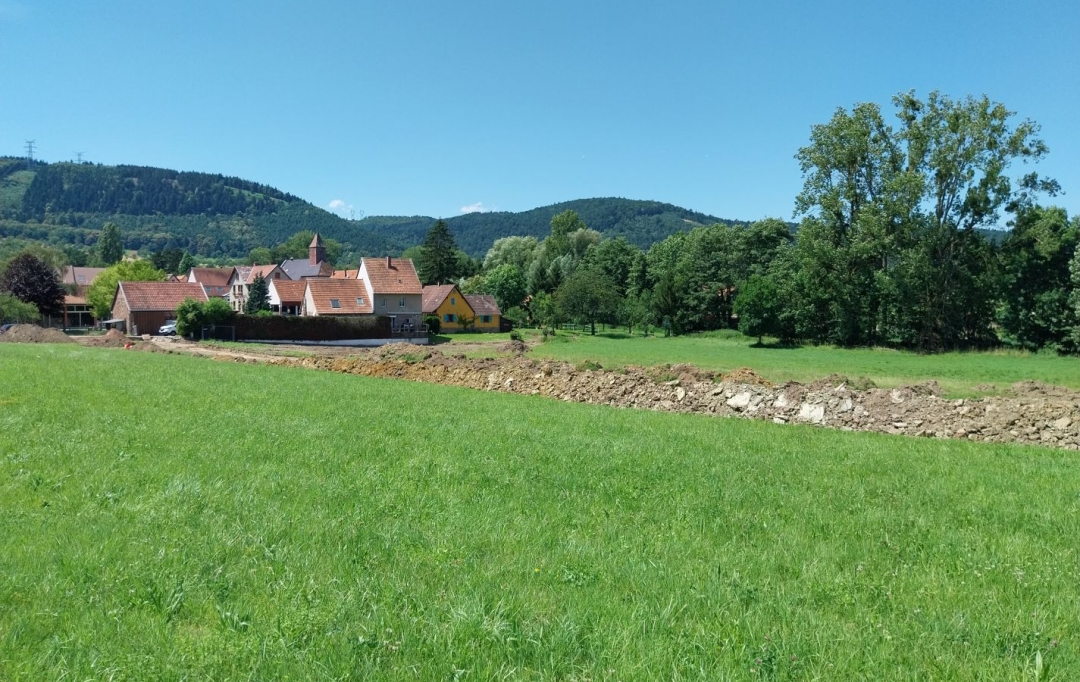 Alsace & Azur Immobilier : Terrain | HENGWILLER (67440) | 0 m2 | 38 000 € 