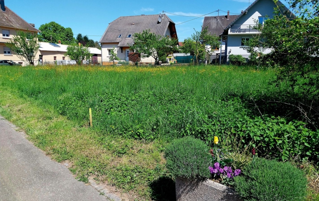 Alsace & Azur Immobilier : Terrain | BERNOLSHEIM (67170) | 0 m2 | 224 680 € 