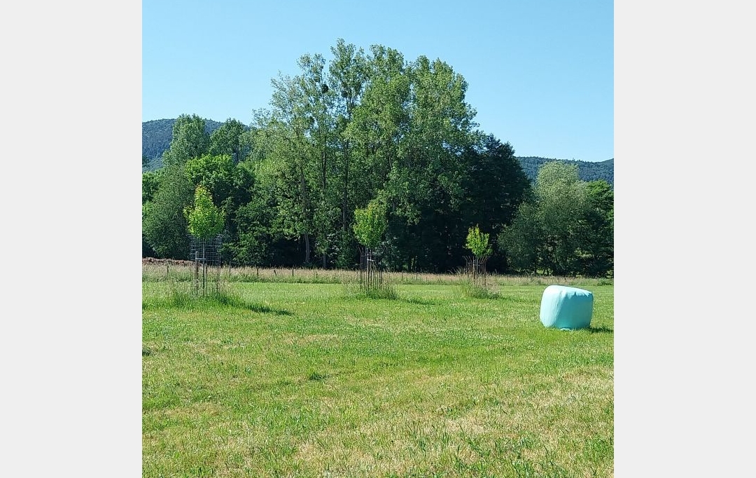Alsace & Azur Immobilier : Terrain | HENGWILLER (67440) | 0 m2 | 49 800 € 