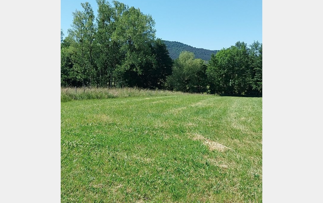 Alsace & Azur Immobilier : Terrain | HENGWILLER (67440) | 0 m2 | 49 800 € 