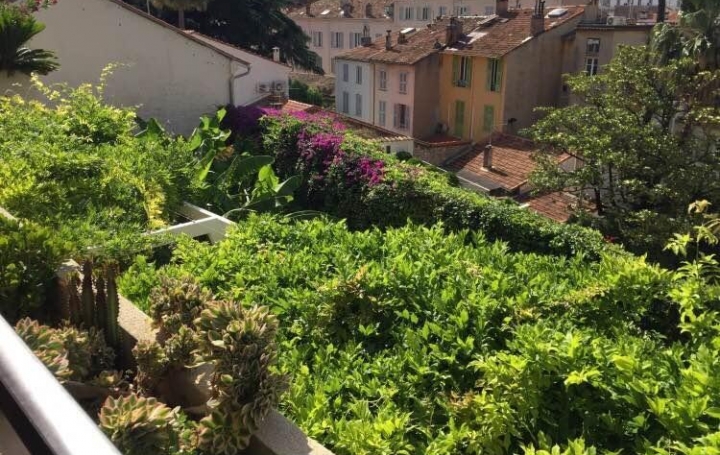 Alsace & Azur Immobilier : Appartement | CANNES (06400) | 53 m2 | 424 000 € 