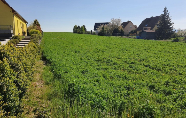 Alsace & Azur Immobilier : Terrain | SCHWENHEIM (67440) | 0 m2 | 189 000 € 