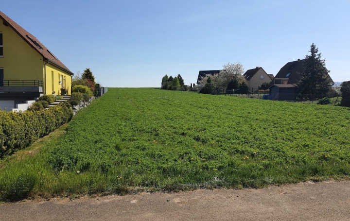 Alsace & Azur Immobilier : Terrain | SCHWENHEIM (67440) | 0 m2 | 189 000 € 