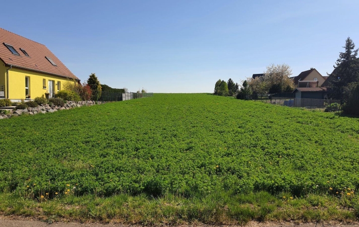 Alsace & Azur Immobilier : Terrain | SCHWENHEIM (67440) | 0 m2 | 189 000 € 
