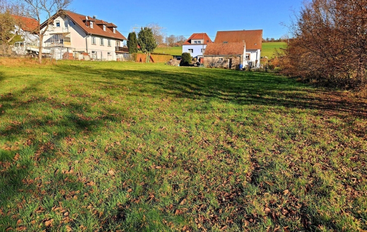 Alsace & Azur Immobilier : Terrain | PHALSBOURG (57370) | 0 m2 | 98 000 € 