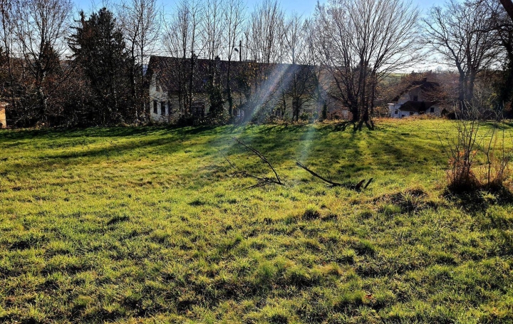 Alsace & Azur Immobilier : Terrain | PHALSBOURG (57370) | 0 m2 | 98 000 € 