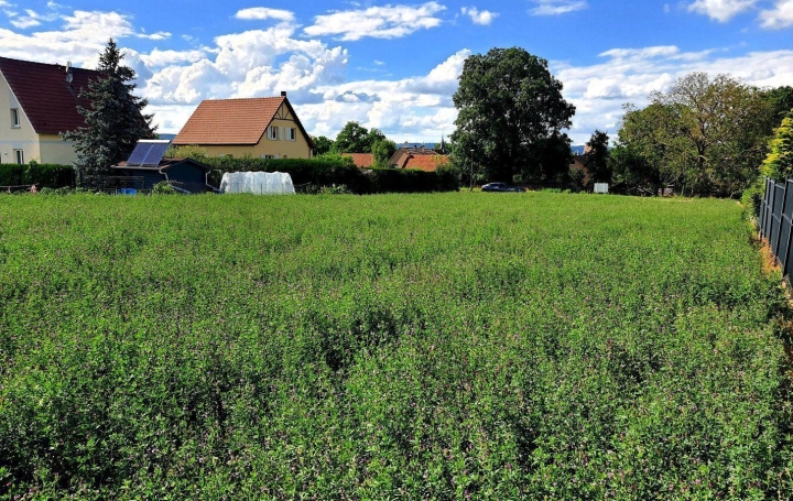 Alsace & Azur Immobilier : Ground | SCHWENHEIM (67440) | 0 m2 | 178 000 € 