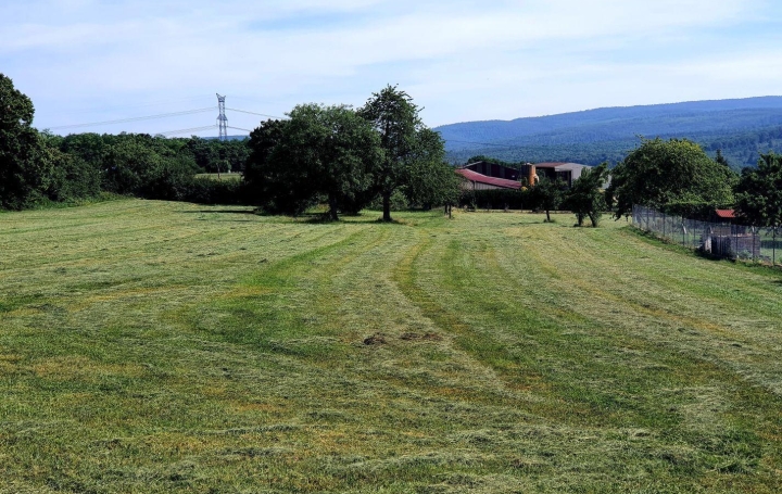 Alsace & Azur Immobilier : Terrain | SALENTHAL (67440) | 0 m2 | 189 000 € 