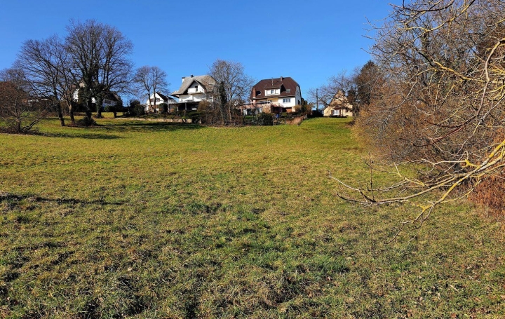 Alsace & Azur Immobilier : Terrain | SAVERNE (67700) | 0 m2 | 129 000 € 