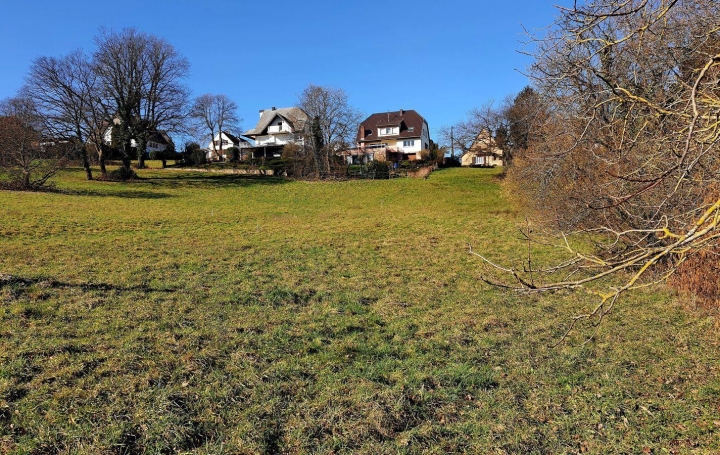 Alsace & Azur Immobilier : Terrain | SAVERNE (67700) | 0 m2 | 129 000 € 