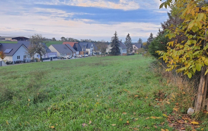 Alsace & Azur Immobilier : Terrain | RANGEN (67310) | 0 m2 | 139 000 € 